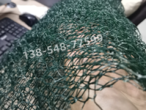 定制三维植被网